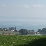 vue